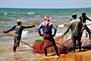 Paradise Found: The Best Beaches to Visit in Sri Lanka