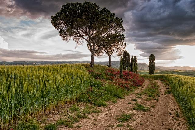 Maximizing Experience, Minimizing Cost: The Art of Budget Travel